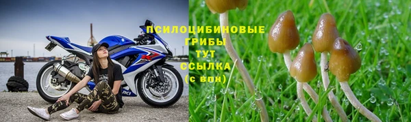 соль ск Беломорск