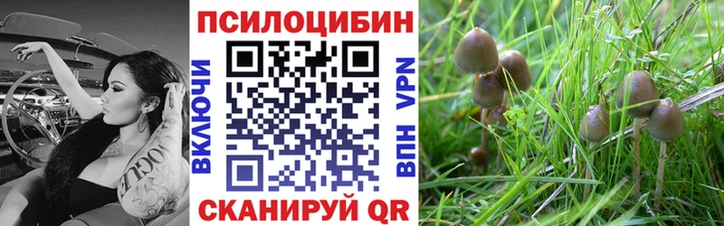 Галлюциногенные грибы мицелий  Малмыж 